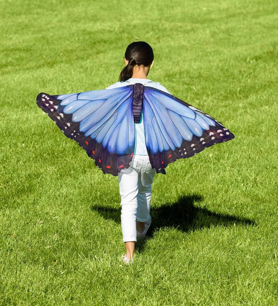 Realistic Fabric Butterfly Wings | Theraquatics